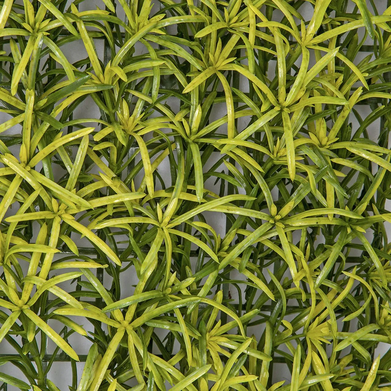 11.5"x11.5" Artificial Podocarpus Leaf Mat -Yellow/Green (pack of 6)