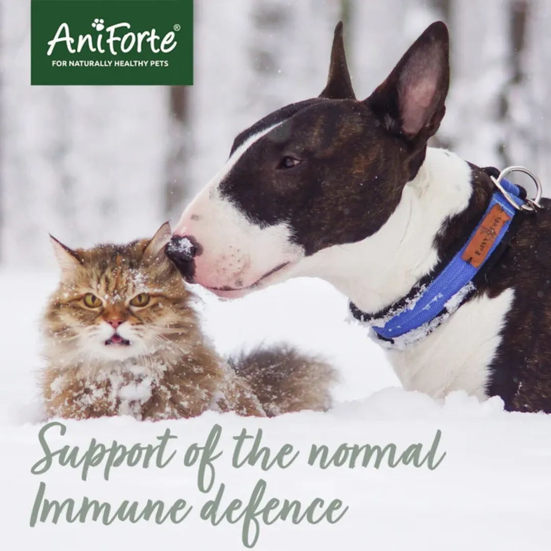 AniForte Colostrum for Pets