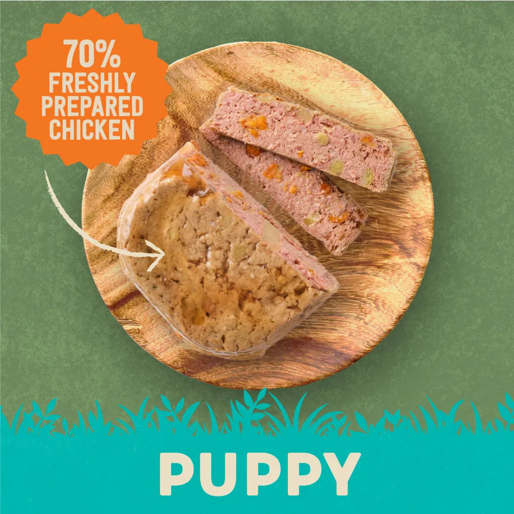 Chicken with Potato & Vegetables Grain Free Wet Puppy Food 8 x 380g