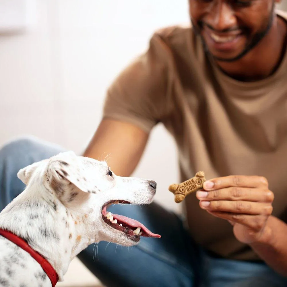 Flavor Snacks Small Dog Biscuits 24 Oz