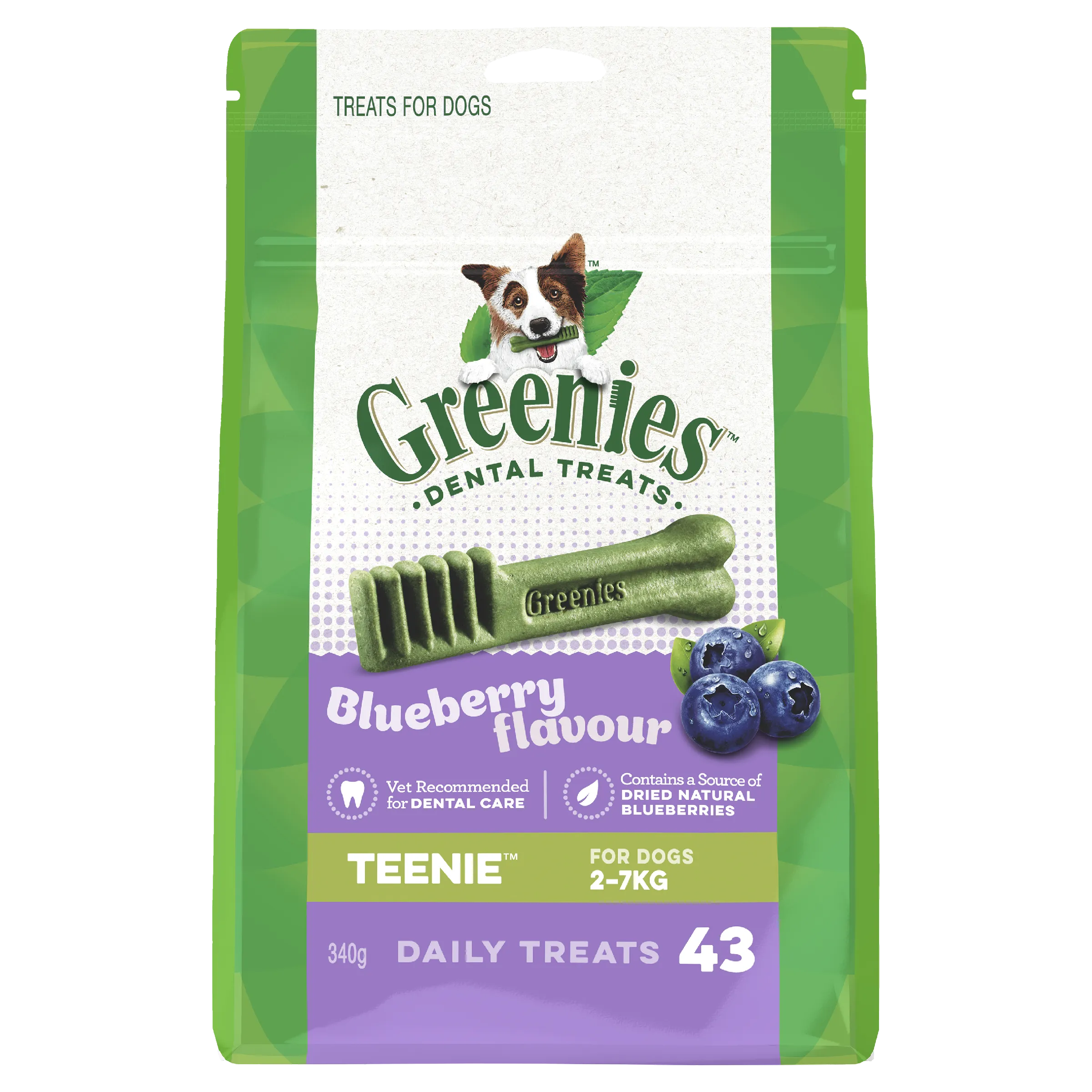 Greenies Dog Blueberry Dental Health Treats for Teenie Dogs 340g