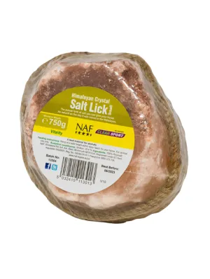 Himalayan Salt Lick