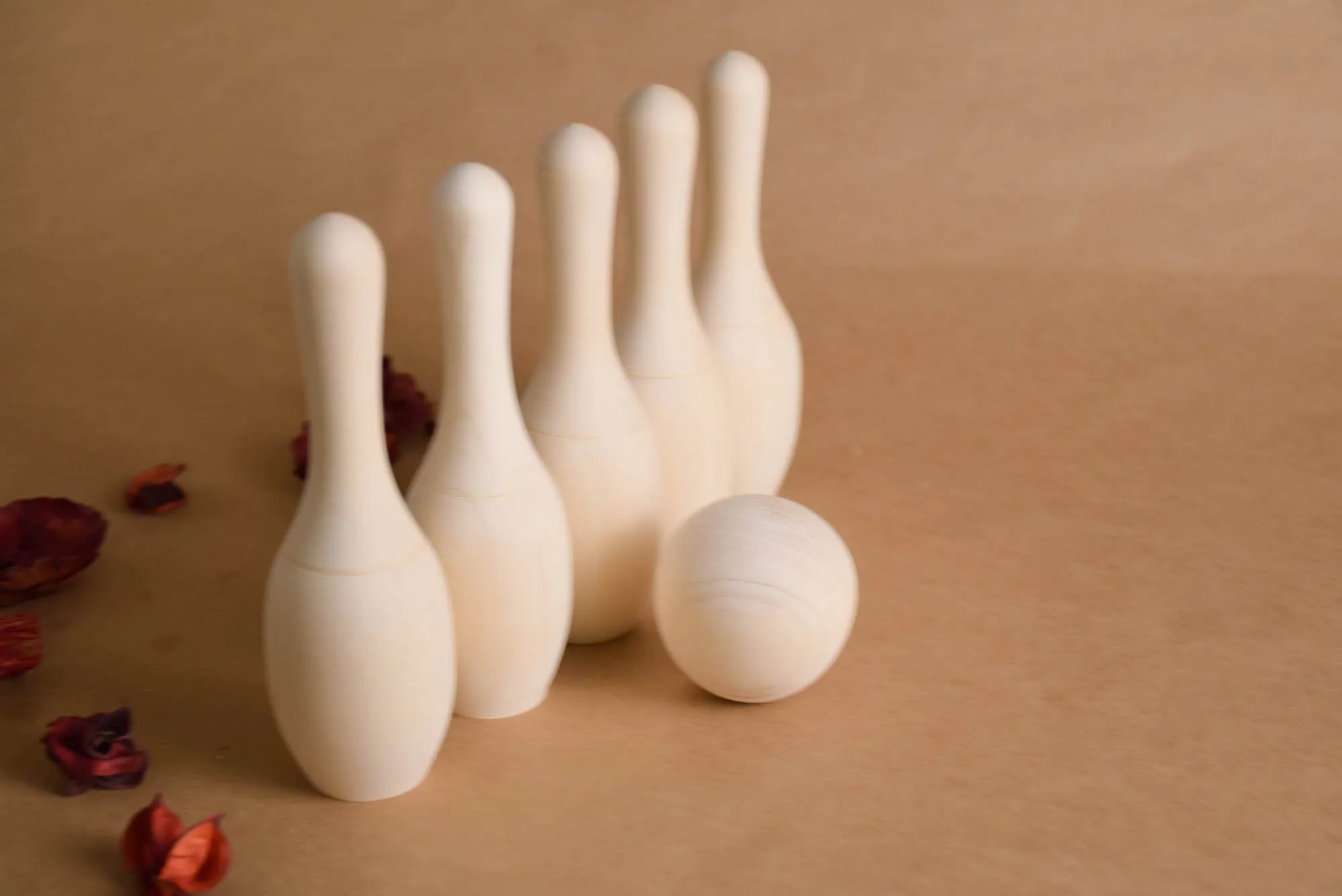 Mini Bowling Game with Pins