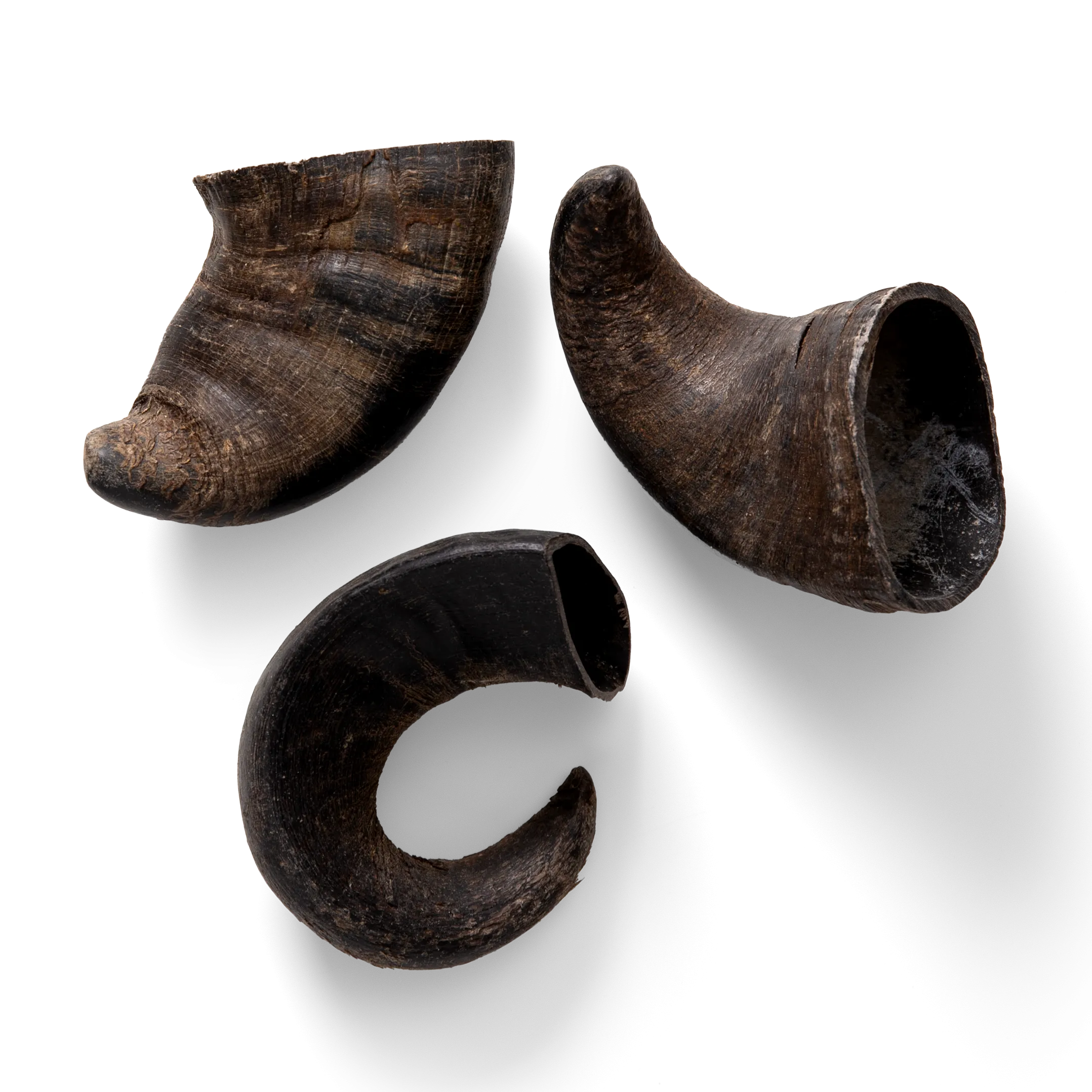 NAW Buffalo Horns 3 Pack