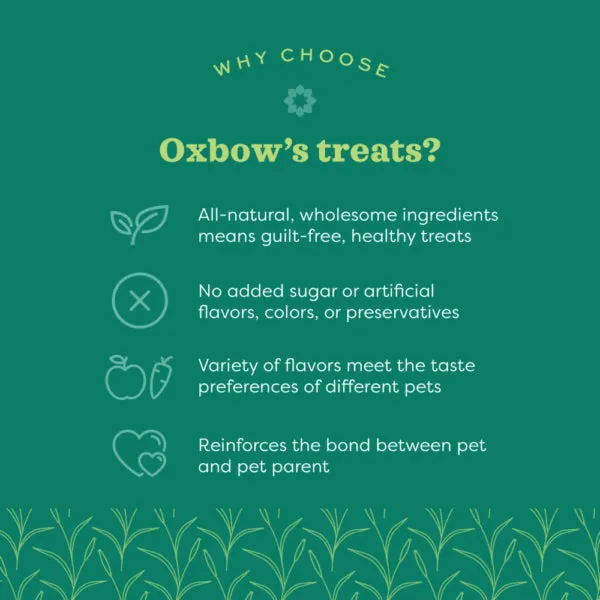 Oxbow Simple Rewards Banana Treats