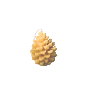 Pine Cone Candle