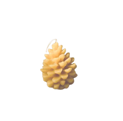 Pine Cone Candle