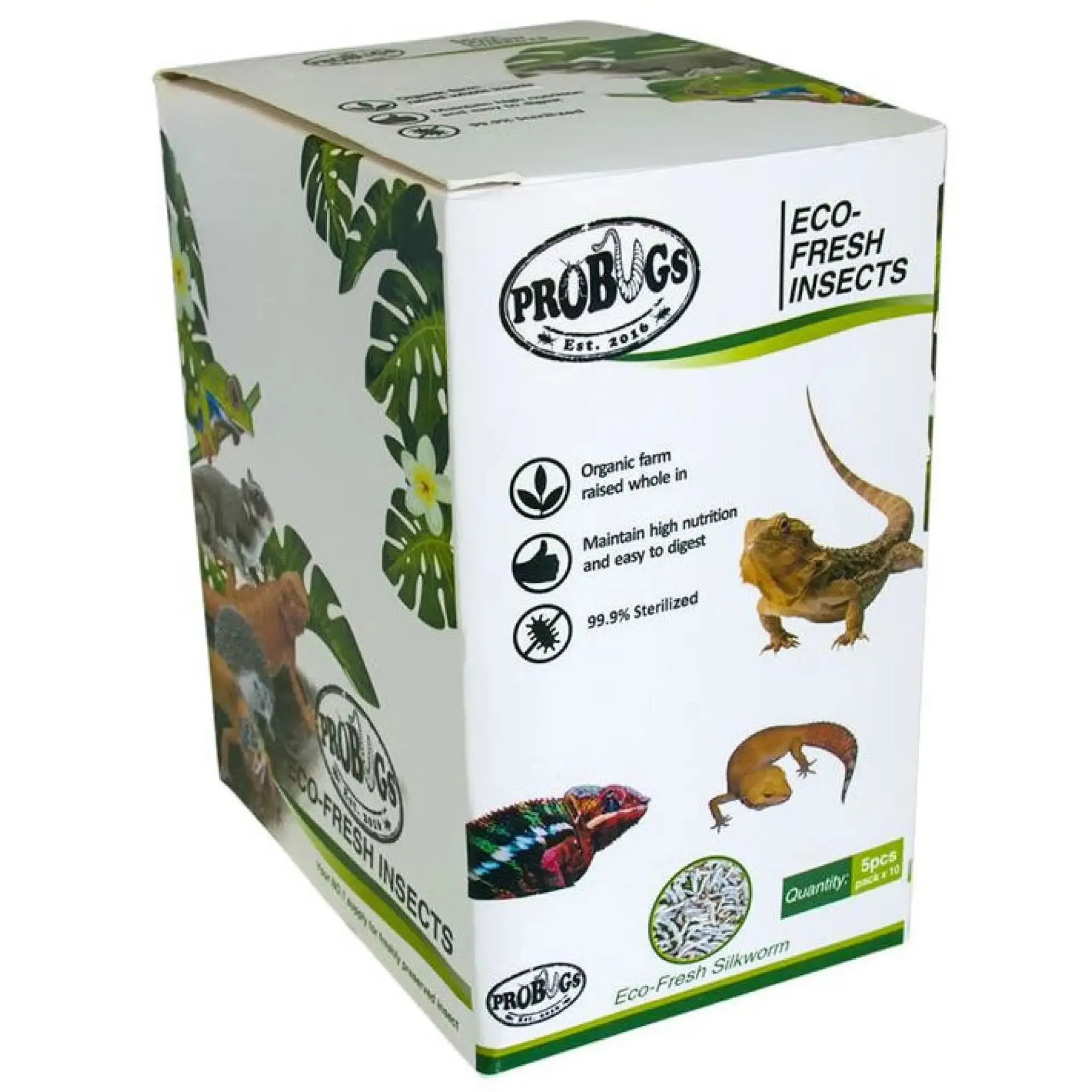 ProBugs Eco Fresh Silkworm 5pcs