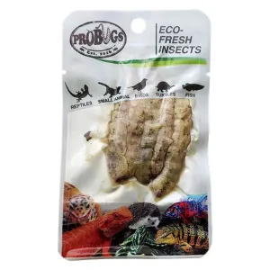 ProBugs Eco Fresh Silkworm 5pcs