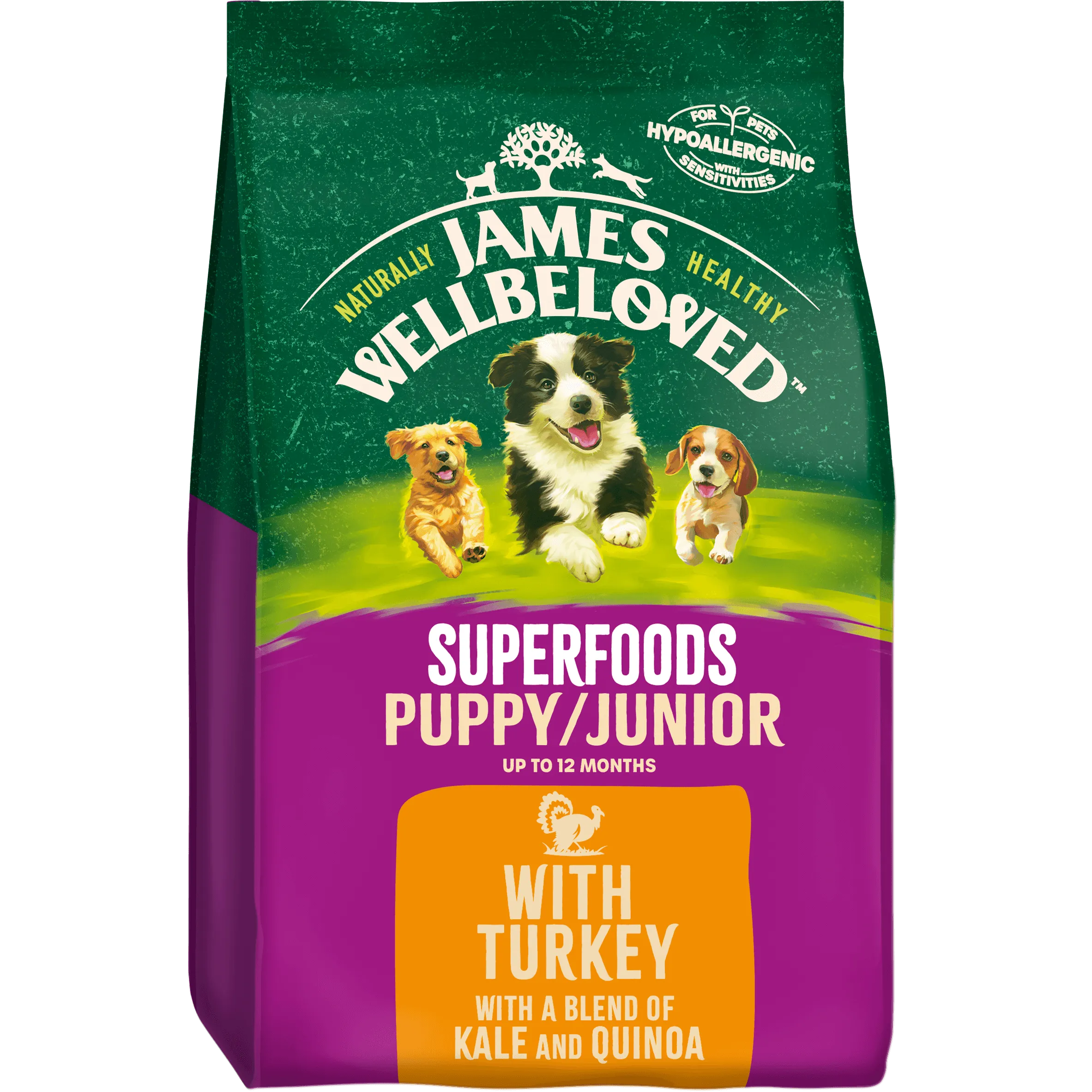 Puppy/Junior Turkey with Kale & Quinoa Dry Dog Superfoods