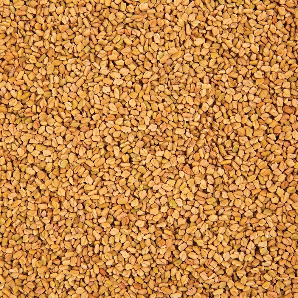 Sproutman Organic Fenugreek Sprouting Seeds (16 oz)