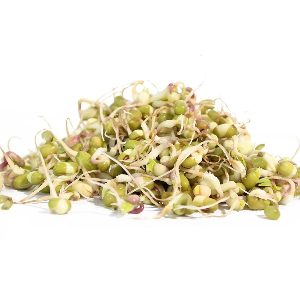 Sproutman Organic Mung Bean Sprouting Seeds (16 oz)