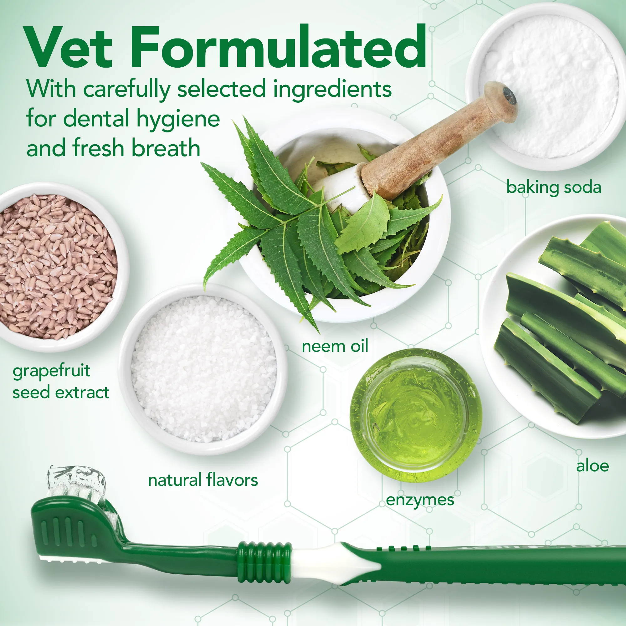 Vet's Best Dental Care Kit with Toothbrush and Gel 3.5oz